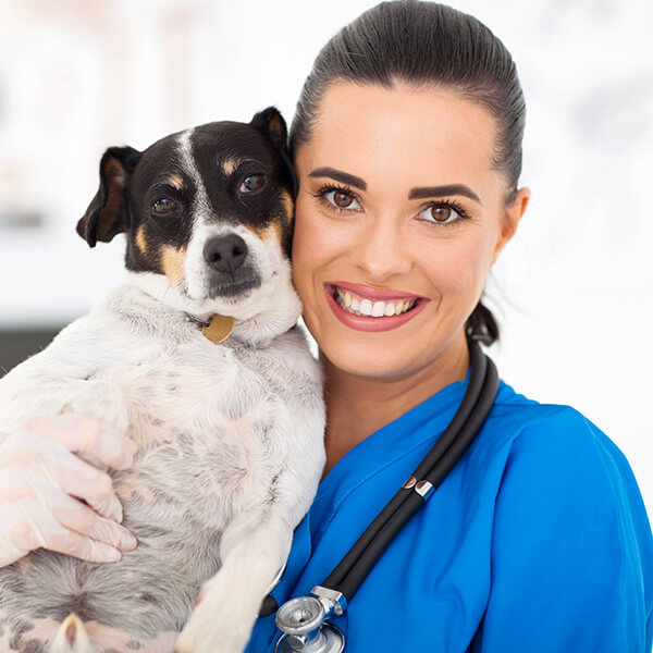 Our Qualified Pet care Professionals