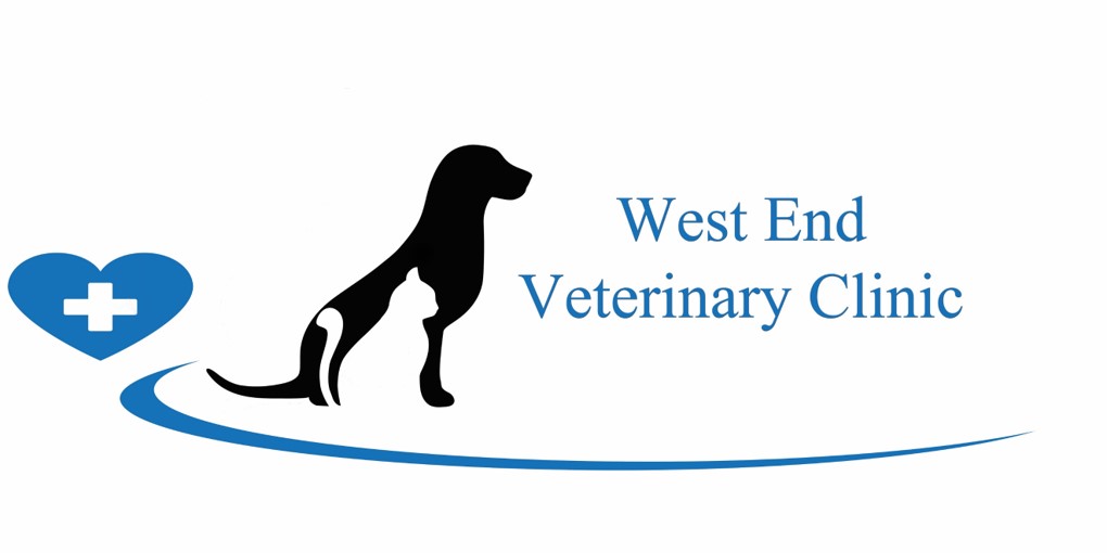 High Quality Veterinary Care near Short Pump West End Vet